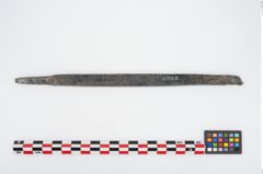 Foto von Bronzeraspel (NHMW-PRAE-025825)